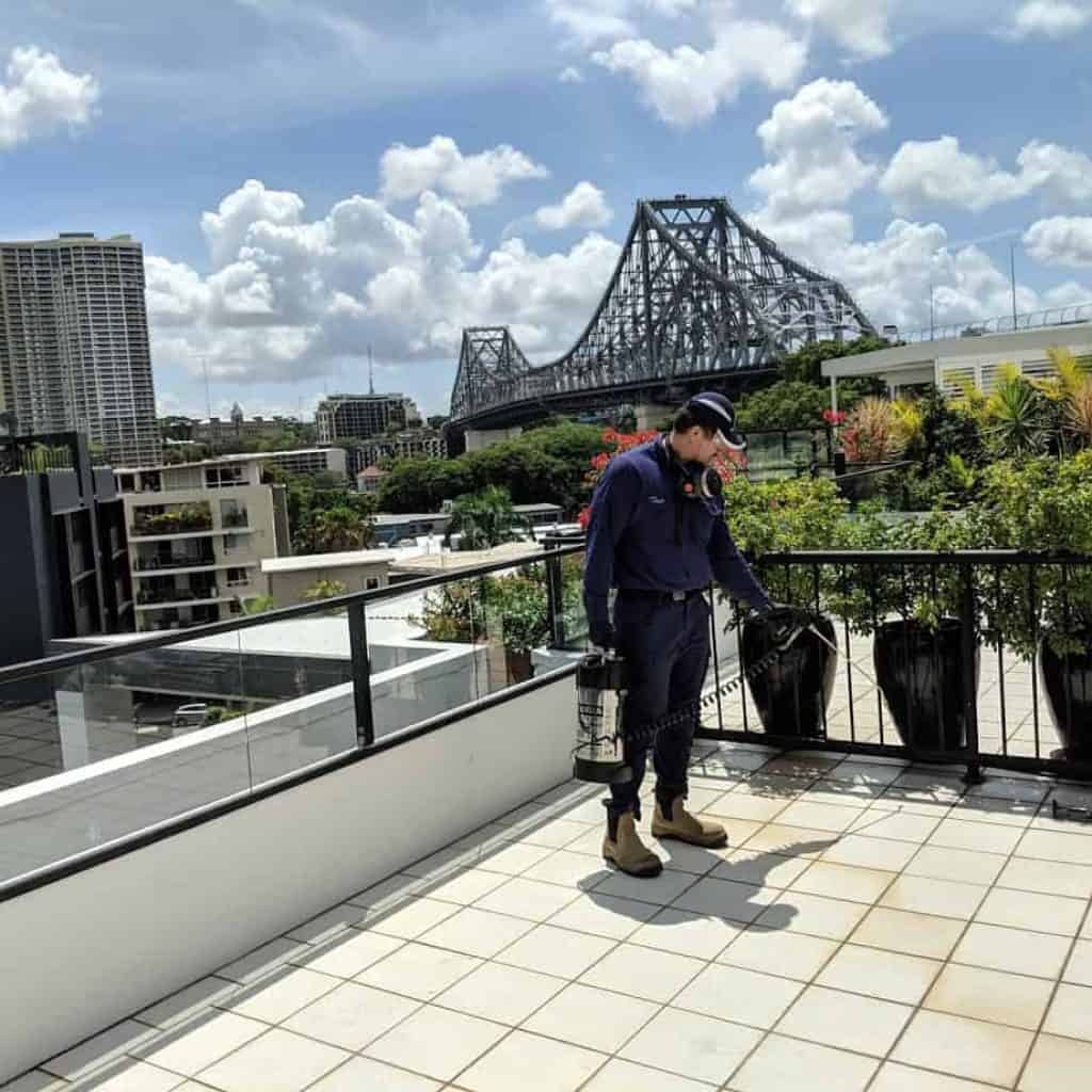 Response Pest Control | Brisbane | Termite Inspections | Termite Barriers | Pest Control | End of Lease | Natural Pest Control | Fleas | Cockroaches | Silver Fish