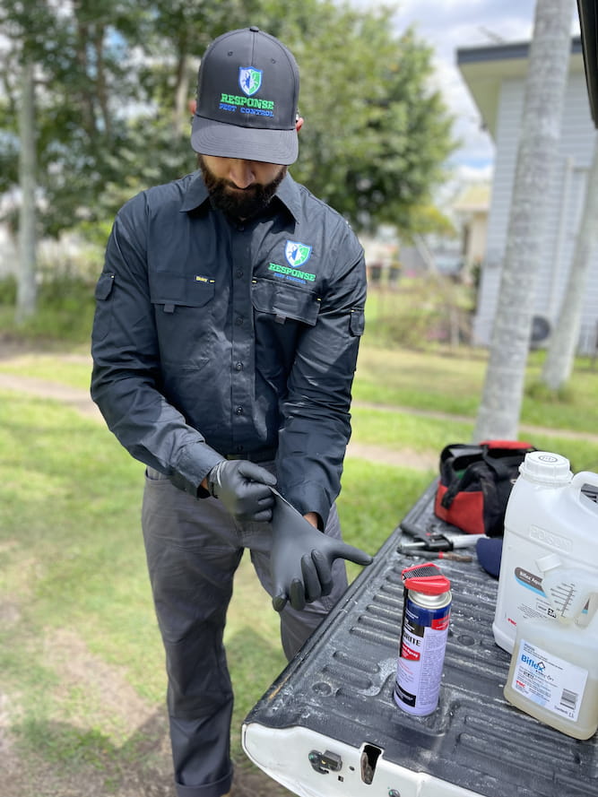 Response Pest Control Technician putting gloves on