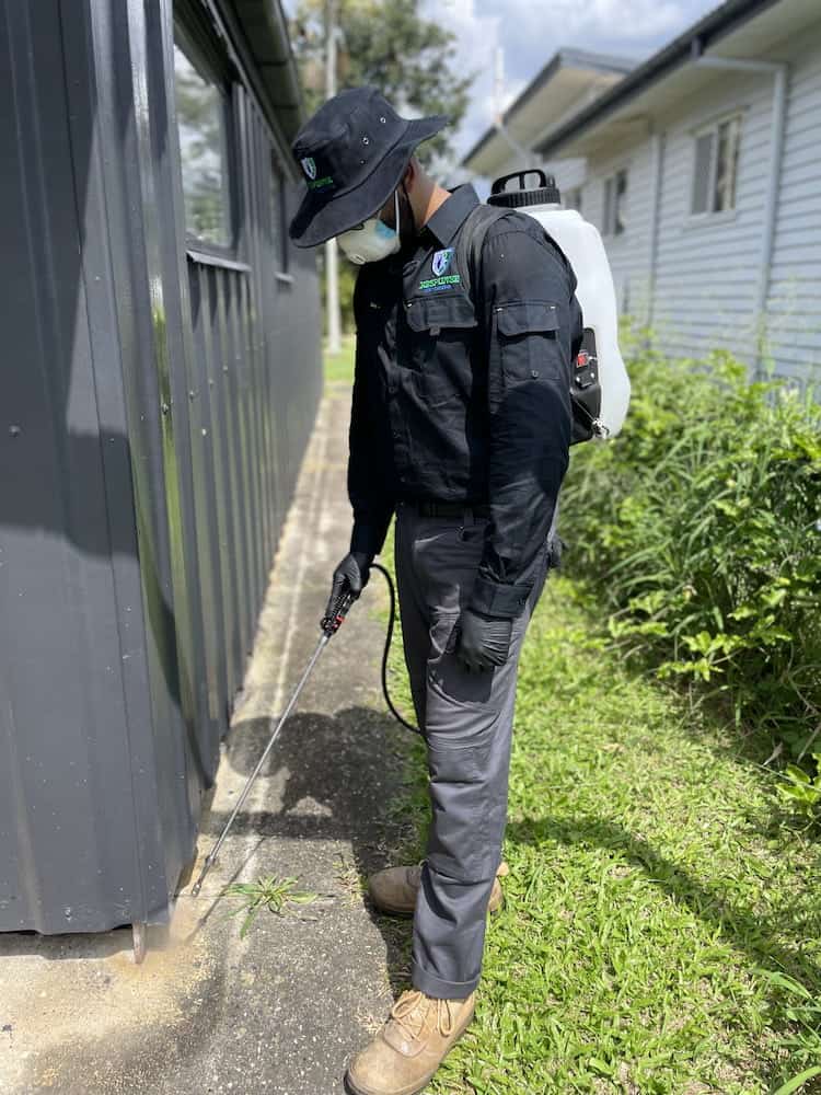 Residential pest control Brisbane