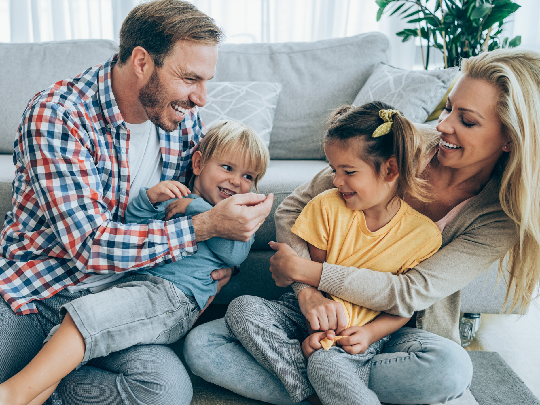 How much does pest control cost Brisbane